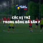 Đội hình và các vị trí sân 7: Hướng dẫn chi tiết cho người mới