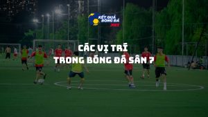 Đội hình và các vị trí sân 7: Hướng dẫn chi tiết cho người mới