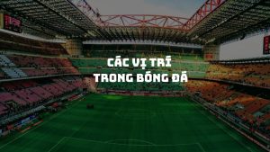 Các vị trí trong bóng đá chi tiết cho người mới năm 2025